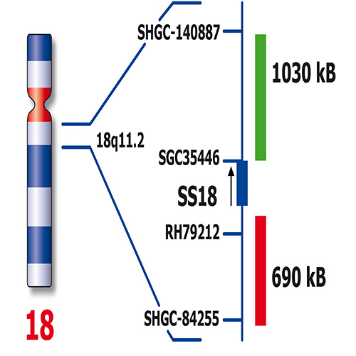 IVD SS18 Break Produktfoto Back View S