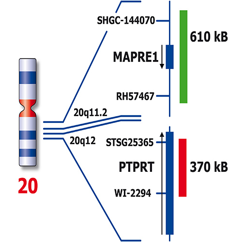 IVD 20q- product photo Back View S