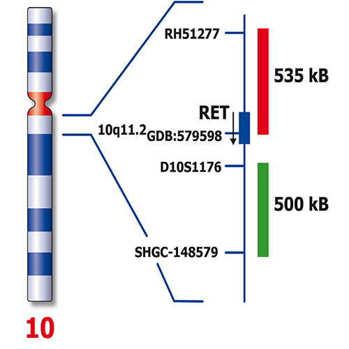 IVD RET Break photo produit Back View S