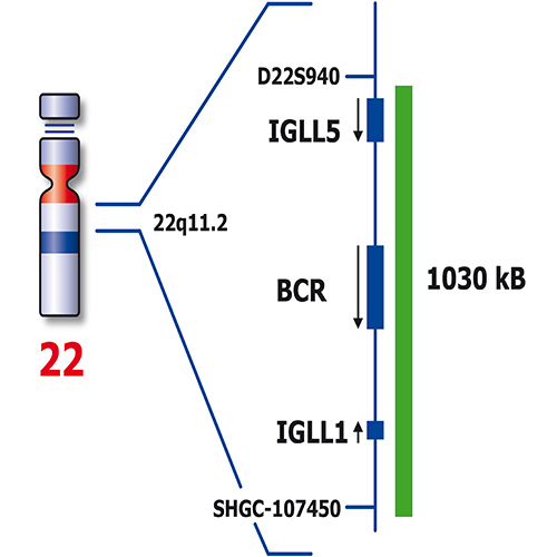 IVD BCR/ABL1 photo produit Side View S