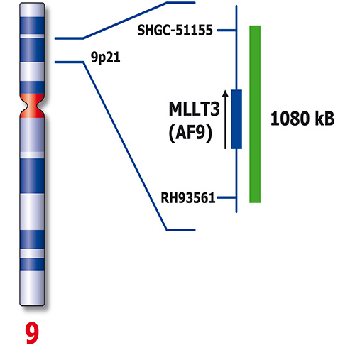 RUO - KMT2A / MLLT3 product photo Side View S