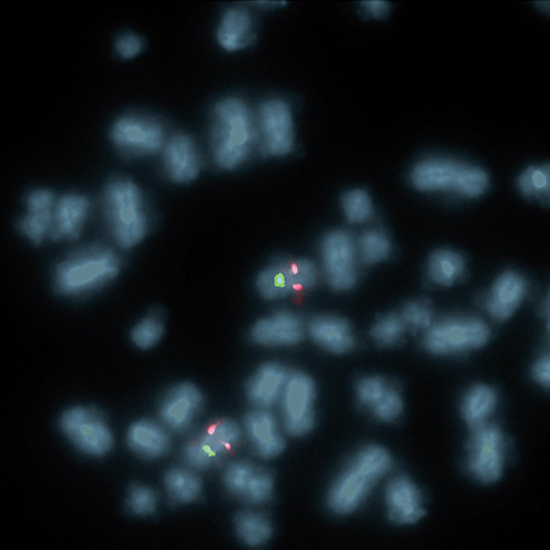 6q21 / SE 6 Foto do produto