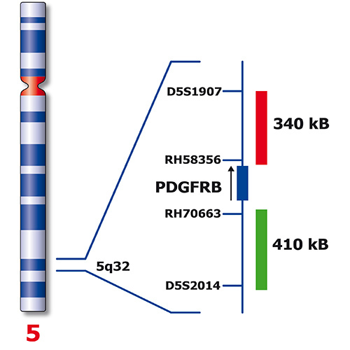 RUO - PDGFRB (5q32) Break photo produit Back View S