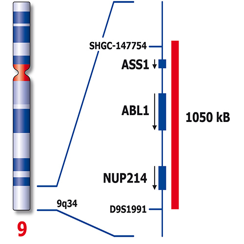 RUO - BCR / ABL1 photo produit Back View S