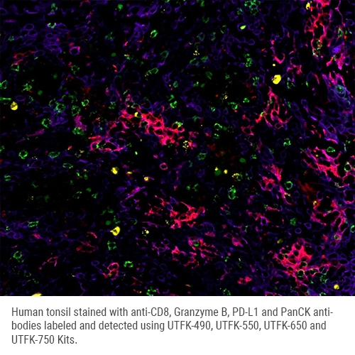 UltraTag 490 Multiplex Labeling Kit Produktfoto