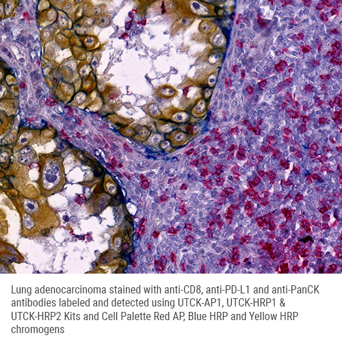 UltraTag AP1 Multiplex Labeling Kit Produktfoto
