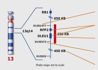 ish-probes-molecular-pathology