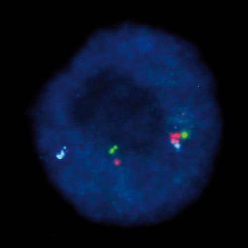 IVD MECOM Break Triple-Color photo produit Front View S