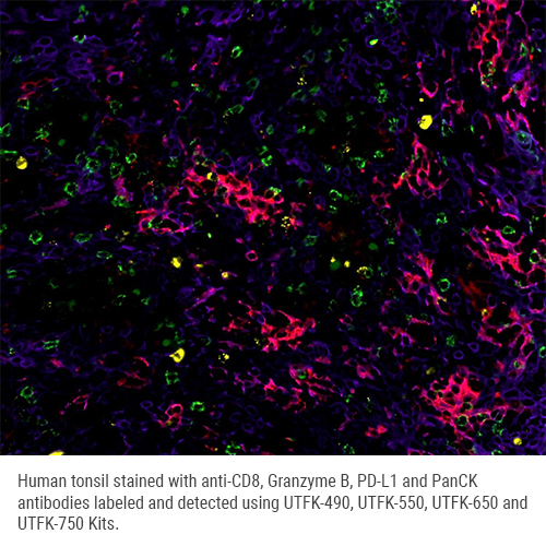 UltraTag 650 Multiplex Labeling Kit photo produit