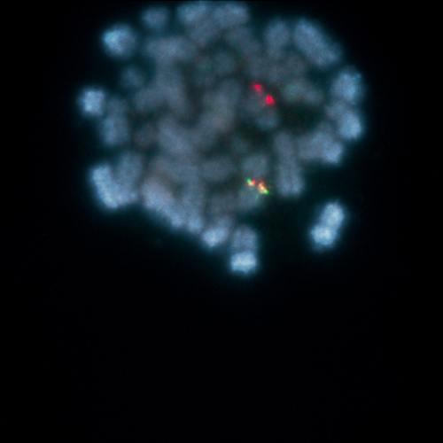 IVD IGH Break Produktfoto Front View S