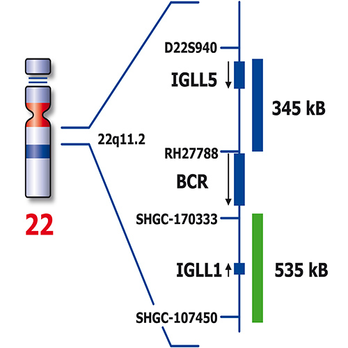 IVD BCR/ABL1 TC product photo Side View S