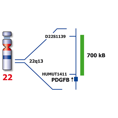 IVD COL1A1/PDGFB photo produit Side View S