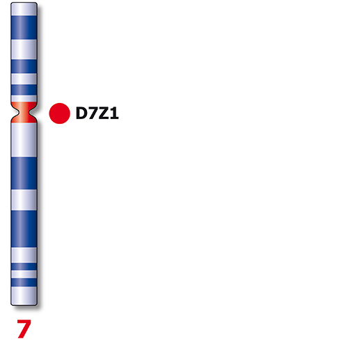 IVD SE 7/SE 8 photo produit Back View S
