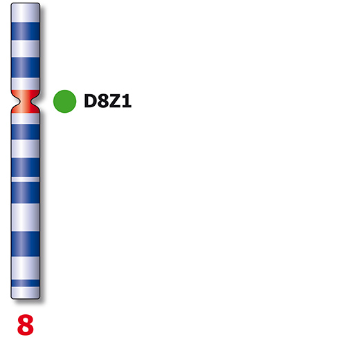 IVD SE 7/SE 8 photo produit Side View S