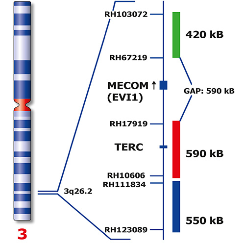 IVD MECOM Break Triple-Color Produktfoto Back View S