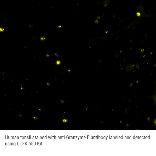UltraTag 550 Multiplex Labeling Kit Produktfoto