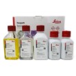 Gomori's Trichome Special Stain Kit (Blue collagen) product photo Back View S