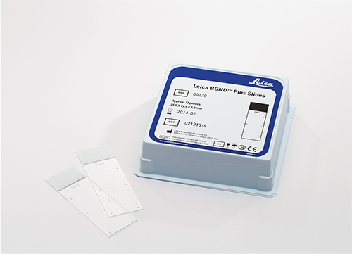 BOND Plus Slides product photo Front View S