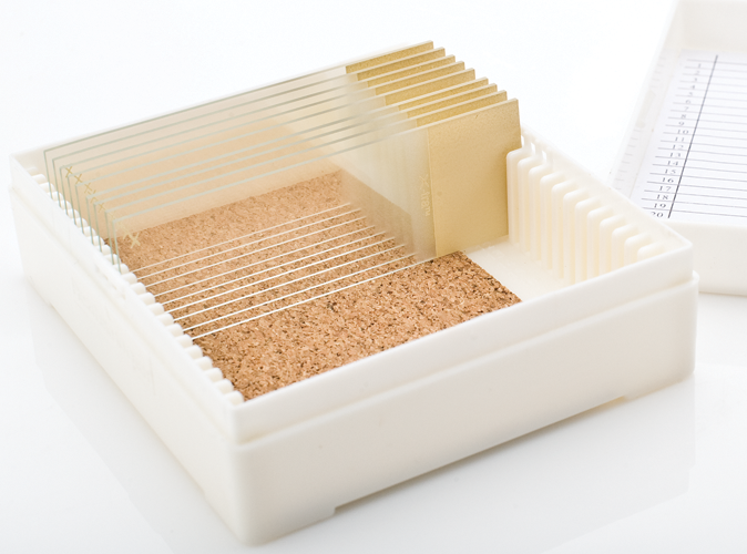 25 Slide Box for Specimen Transport product photo