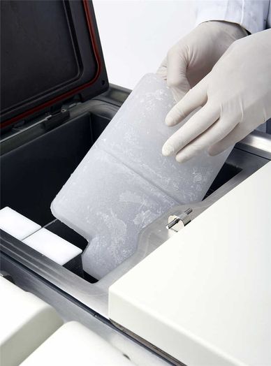 PELORIS Parablocks Paraffin photo produit Front View S