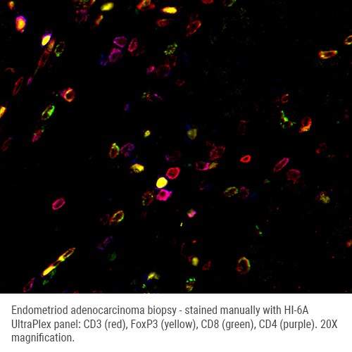 HI-6A mxIF - CD3/CD4/CD8/FoxP3 製品画像