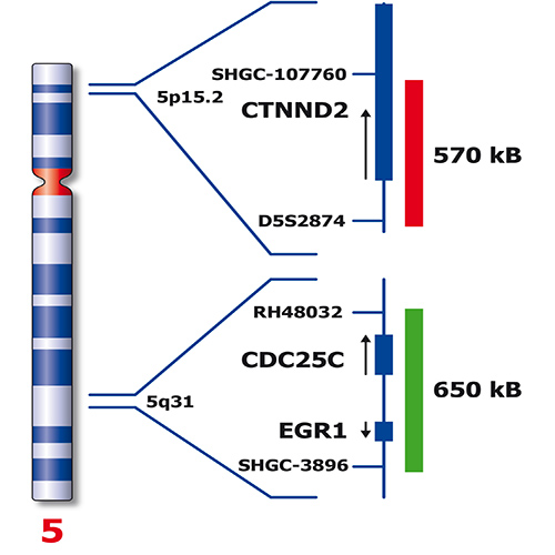IVD CTNND2 product photo Back View S
