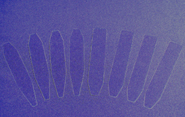 Dispensing slides 8 pcs. Foto do produto