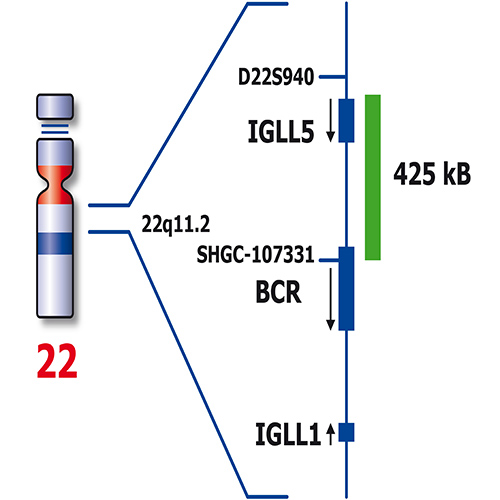 IVD BCR/ABL1 DC ES Foto do produto Side View S