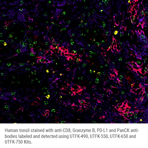 UltraTag 750 Multiplex Labeling Kit Foto do produto
