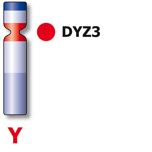 IVD SE X/SE Y/SE 18 产品照片 Back View L