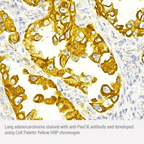 Cell Palette RBY Chromogen Combo 15mL 产品照片