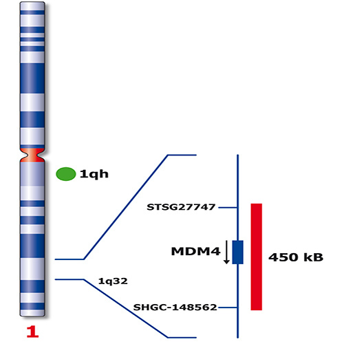 IVD MDM4/SE 1 产品照片 Back View S