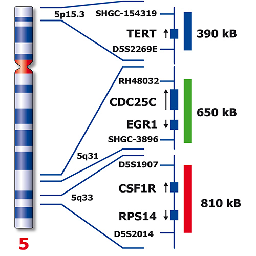 IVD 5q- Triple-Color 产品照片 Back View S