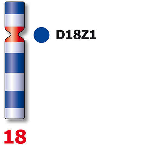 IVD SE X/SE Y/SE 18 产品照片 Back View S