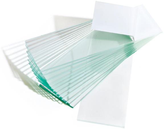 Snowcoat Pearl Slides 产品照片 Front View S