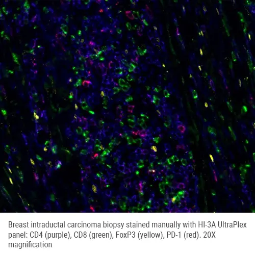 HI-3A mxIF - CD4/CD8/FoxP3/PD-1 product photo