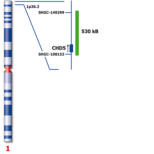 SRD (1p36) Green 250µl 2x product photo