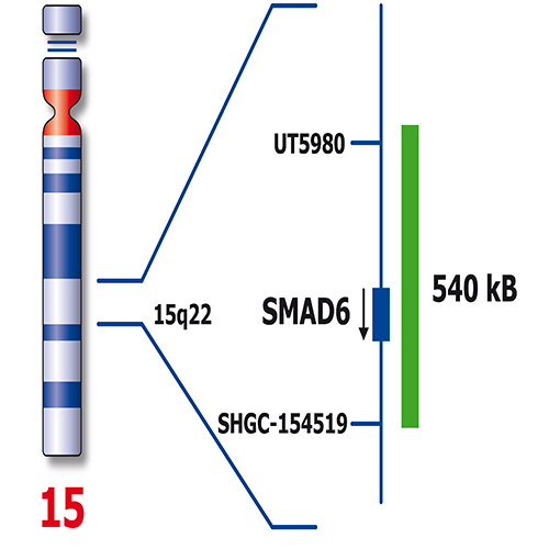 IVD 15q22/6q21 製品画像 Side View S