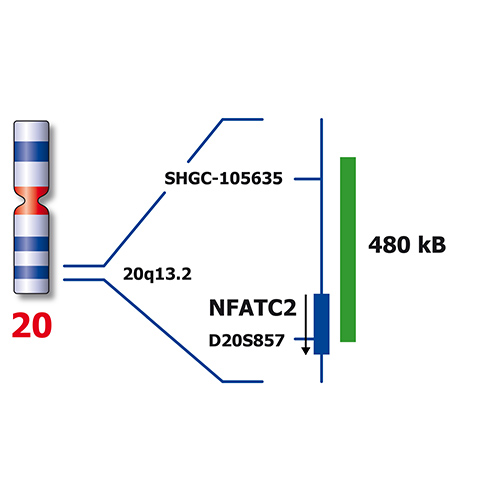 IVD EWSR1/NFATC 製品画像 Back View S