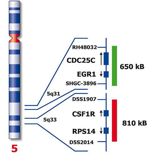 IVD 5q Dual-Color 製品画像 Back View S