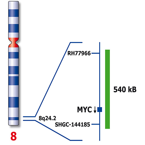 IVD TERC/MYC/SE 7 製品画像 Side View S