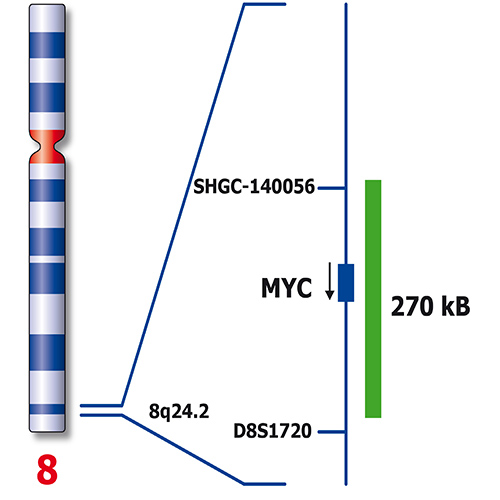 IVD 6q21/MYC 製品画像 Back View S