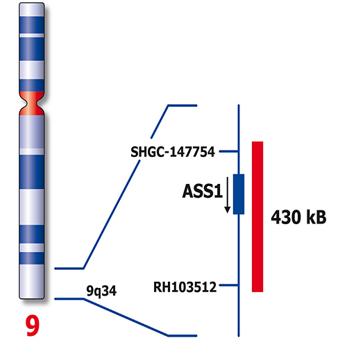 RUO - 15q22 / 9q34 (15q22 / 9q34) product photo Back View S