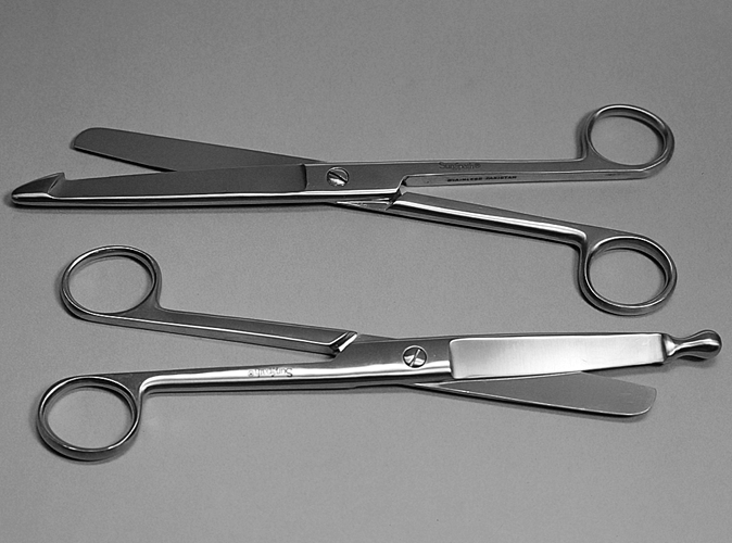 SCISSOR ENT. 8.25 BOWEL product photo