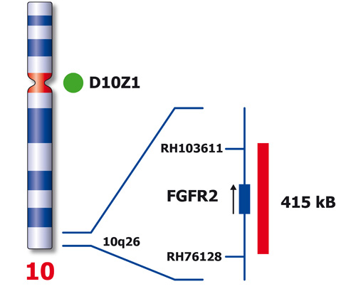 IVD FGFR2/SE 10 product photo