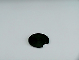 Specimen disc S D 50 mm product photo