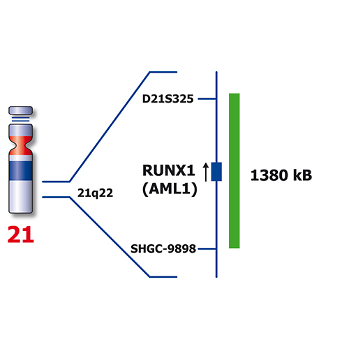 IVD RUNX1/RUNX1T1 product photo Side View S