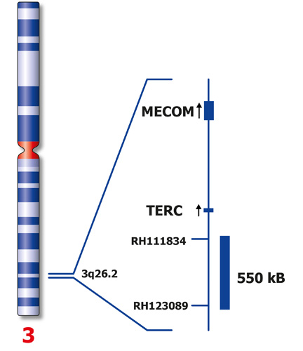 MECOM (3q26) product photo