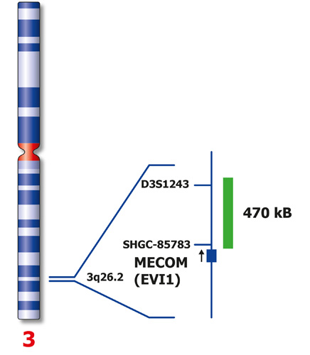 MECOM (3q26) product photo