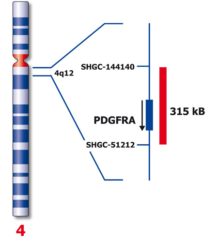 PDGFRA (4q12) product photo